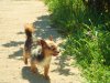 DSC04832.jpg