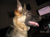 IMG_7188.jpg