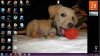 desktop.jpg
