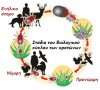 lifecycle.jpg