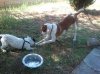 2012-04-29 15.24.02.jpg