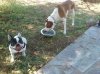 2012-04-29 15.23.46.jpg