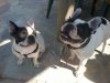 2012-04-29 16.53.29.jpg