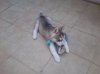 DSC_0070 (640x480).jpg