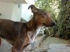 2012-05-15-781.jpg 2012-05-15-781.jpg
