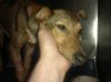 2012-05-14-753.jpg
