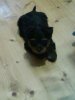 DSC00287.JPG
