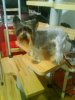 DSC00780.JPG