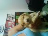 DSC00956.JPG