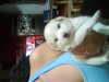 DSC00960.JPG