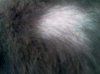 IMG_20120518_191017.jpg