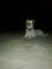 laser eyes.jpg