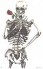 skeletonrose_copy.jpg