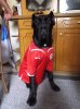 DSCF0877.jpg