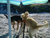 DSC00107.jpg