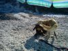 DSC00116.jpg
