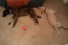 IMAG0669.jpg