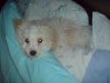 DSC00593.jpg