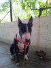20120627_113706.jpg