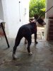 20120627_113825.jpg