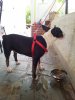 20120627_113728.jpg