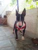 20120627_115350.jpg