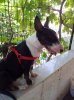 20120627_112710.jpg