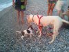 DSC00497.jpg