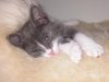 DSCN6515.jpg