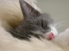 DSCN6521.jpg