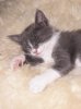 DSCN6524.jpg