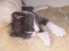 DSCN6522.jpg