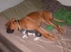 DSCN6528.jpg