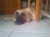2012-07-27 18.19.50.jpg