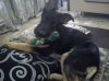 DSC00146.jpg