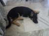 DSC00141.jpg