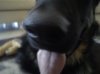 DSC00163.jpg