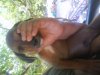 DSC00570.jpg