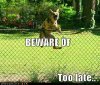 funny-dog-pictures-this-dog-needs-a-warning-sign.jpg
