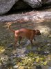DSCN6550.jpg
