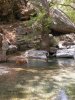 DSCN6548.jpg