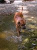 DSCN6559.jpg
