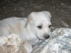DSCN6533.jpg