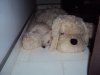 DSC06183.jpg
