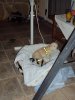 DSC06094.jpg