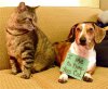 dog sharing 3.jpg