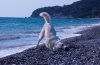 DSC_0315.jpg