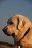 DSC_0410.jpg