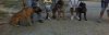 ImageUploadedByTapatalk1347039373.671096.jpg