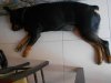 DSCN3680.jpg